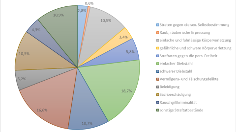 PKS 2022 Deliktsfelder Tortengrafik