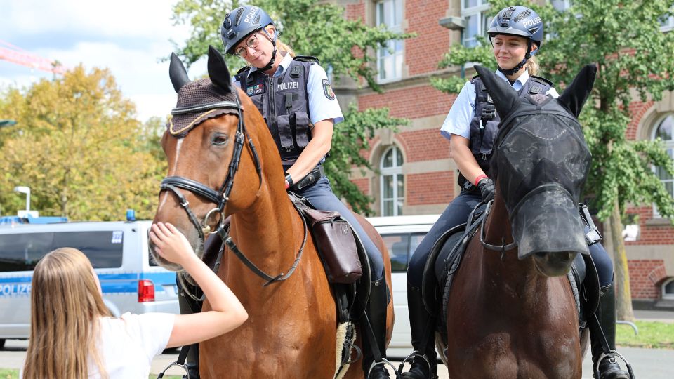 Polizeipferde zum anfassen