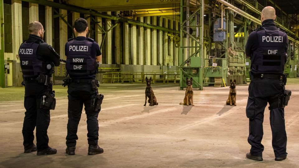 Polizeihund Luc erfolgreich bei Einbrecherjagd